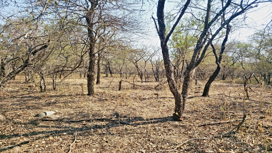 0 Bedroom Property for Sale in Marloth Park Mpumalanga