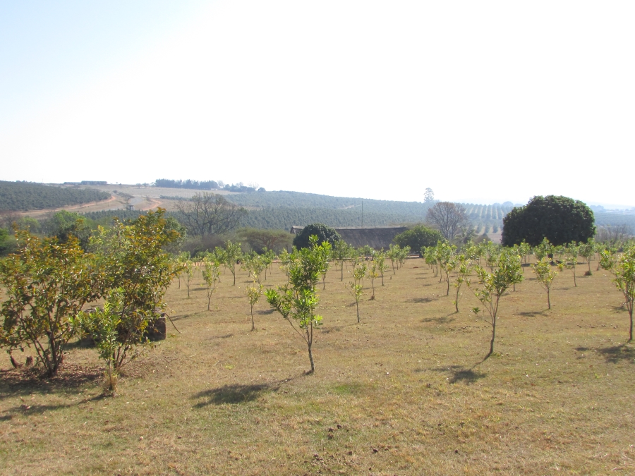 Commercial Property for Sale in White River Estates Mpumalanga