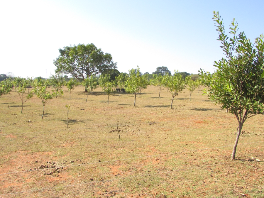 Commercial Property for Sale in White River Estates Mpumalanga