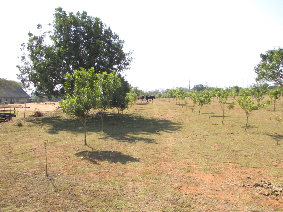 Commercial Property for Sale in White River Estates Mpumalanga