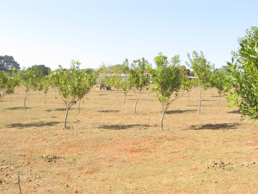 Commercial Property for Sale in White River Estates Mpumalanga