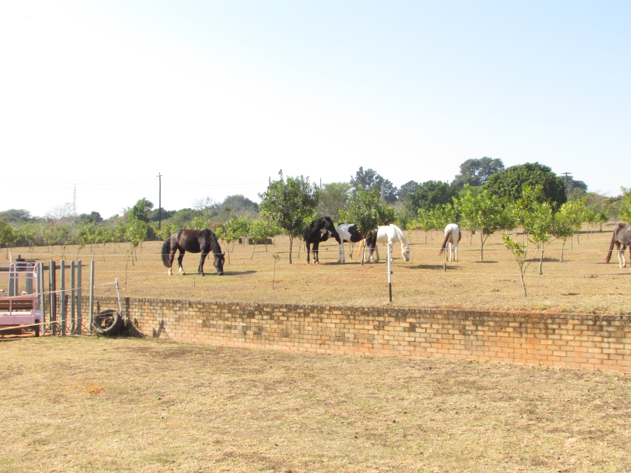 Commercial Property for Sale in White River Estates Mpumalanga