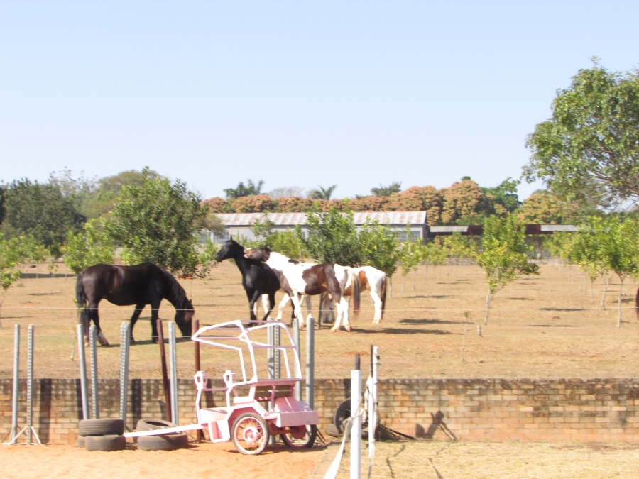 Commercial Property for Sale in White River Estates Mpumalanga