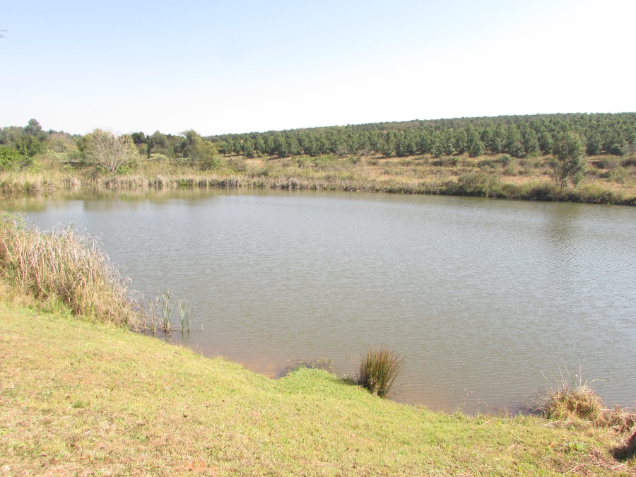 Commercial Property for Sale in White River Estates Mpumalanga