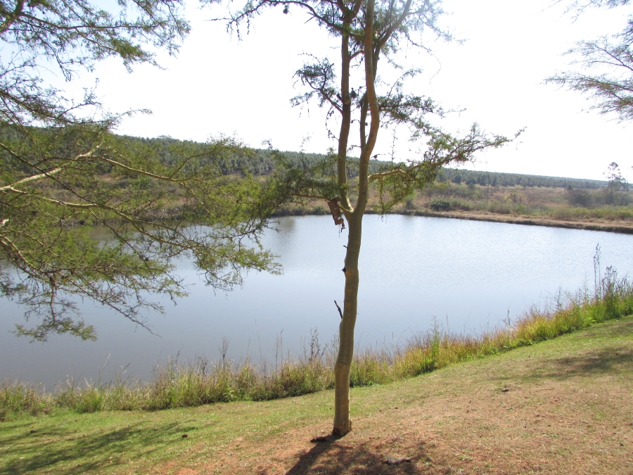 Commercial Property for Sale in White River Estates Mpumalanga