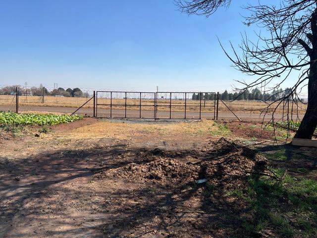 To Let Commercial Property for Rent in Hlalamandi Mpumalanga