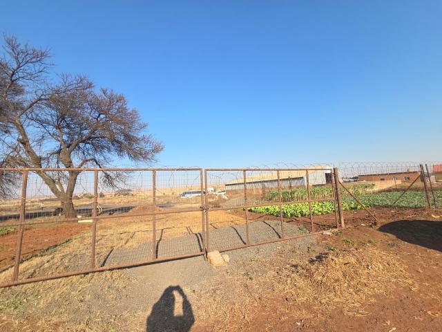 To Let Commercial Property for Rent in Hlalamandi Mpumalanga
