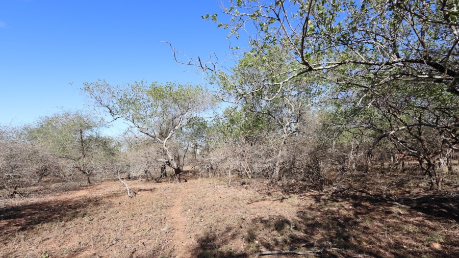 0 Bedroom Property for Sale in Marloth Park Mpumalanga