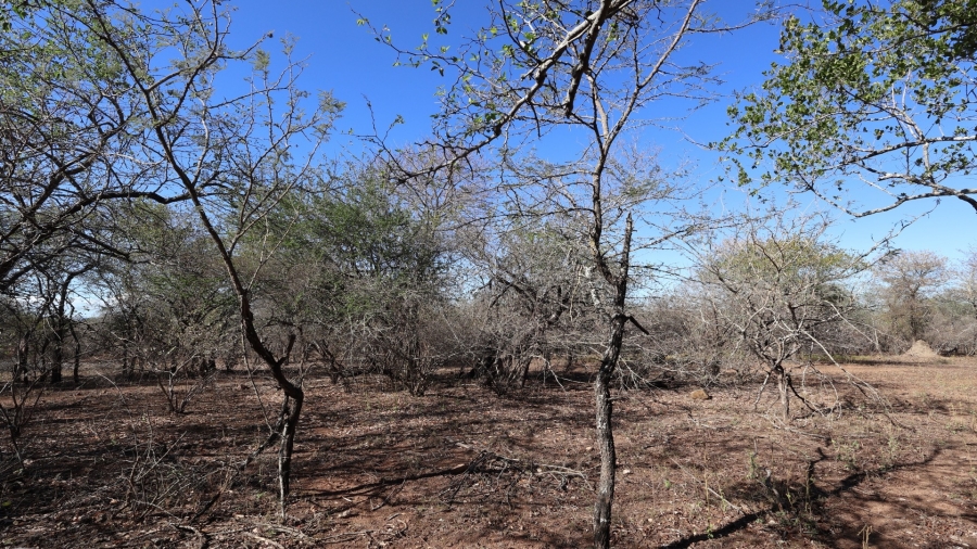 0 Bedroom Property for Sale in Marloth Park Mpumalanga