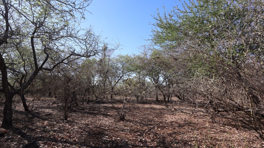 0 Bedroom Property for Sale in Marloth Park Mpumalanga