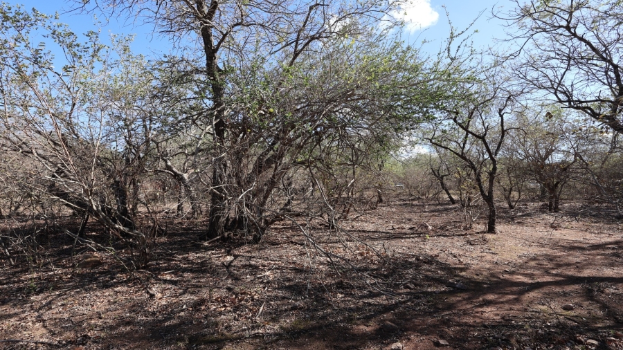 0 Bedroom Property for Sale in Marloth Park Mpumalanga