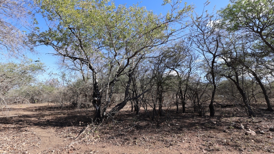 0 Bedroom Property for Sale in Marloth Park Mpumalanga