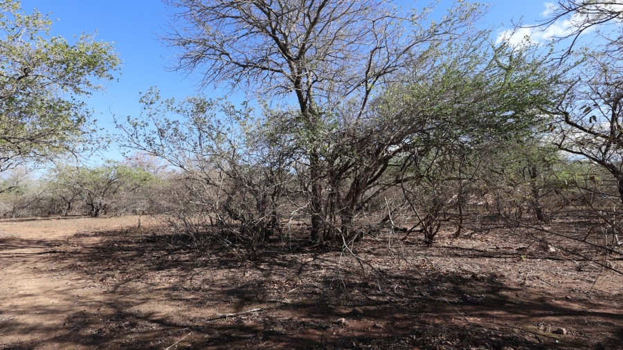 0 Bedroom Property for Sale in Marloth Park Mpumalanga
