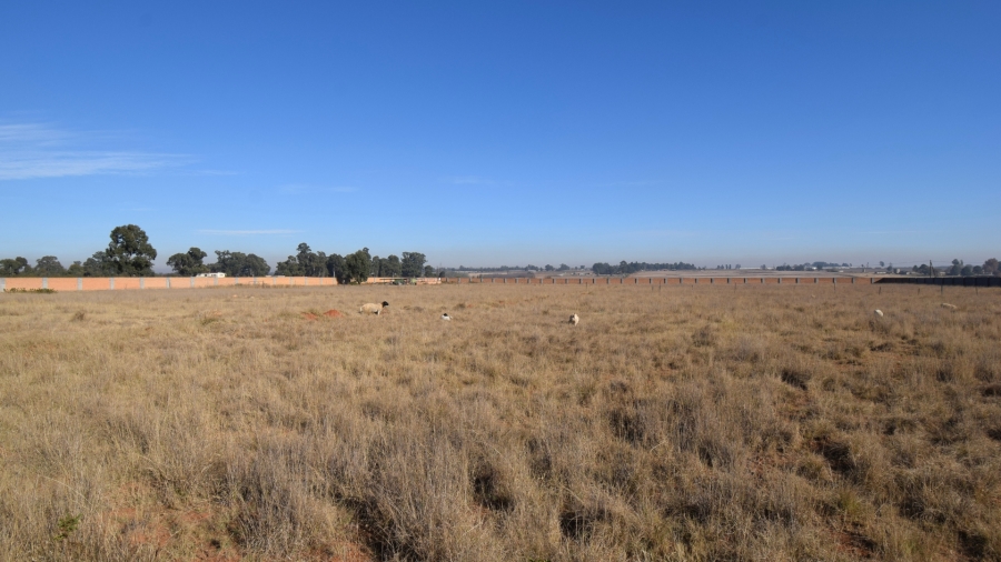 0 Bedroom Property for Sale in Modder East Orchards A H Mpumalanga