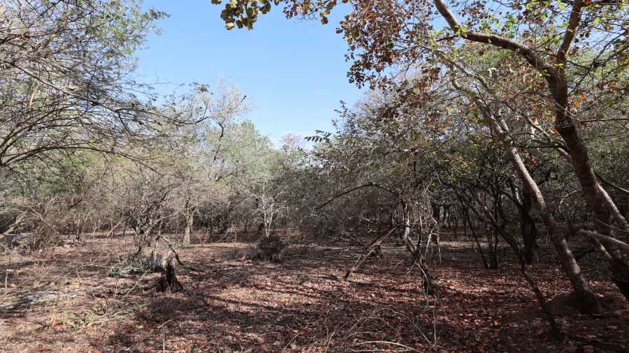 0 Bedroom Property for Sale in Marloth Park Mpumalanga