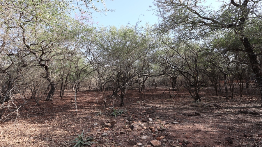 0 Bedroom Property for Sale in Marloth Park Mpumalanga