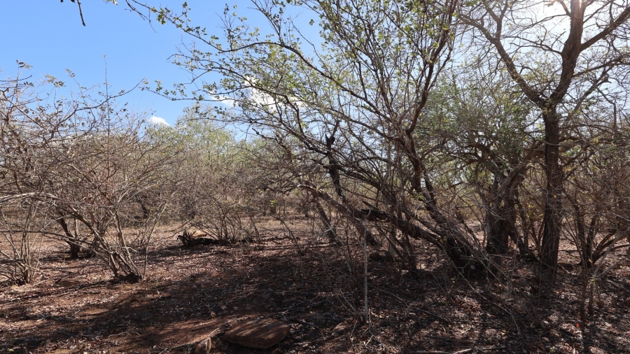 0 Bedroom Property for Sale in Marloth Park Mpumalanga