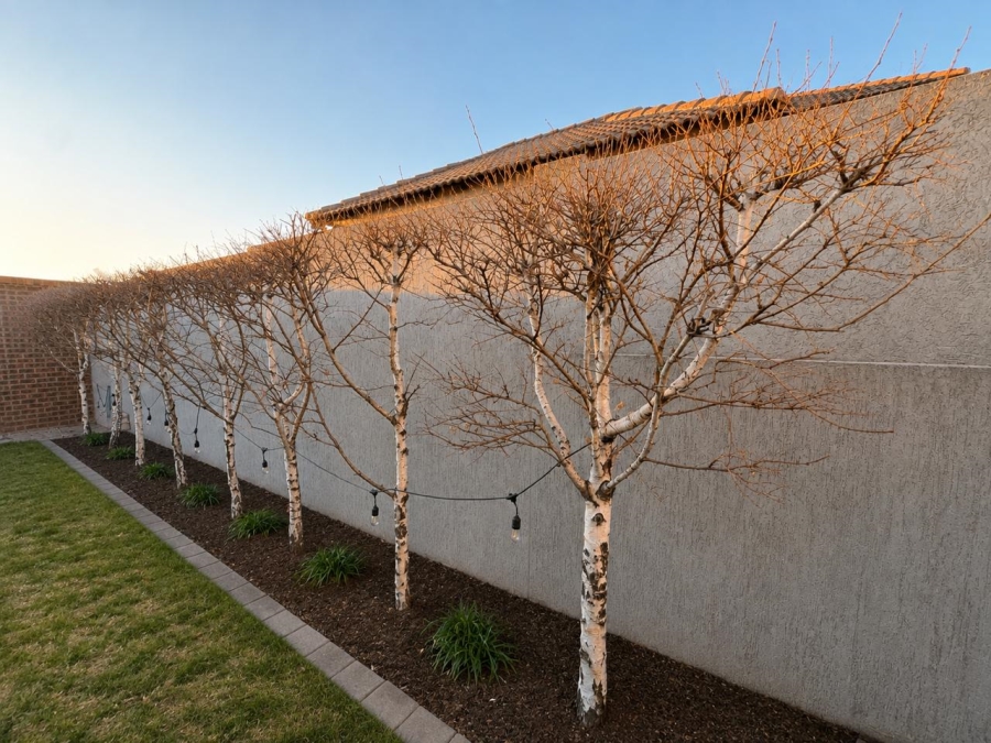 3 Bedroom Property for Sale in Trichardt Mpumalanga
