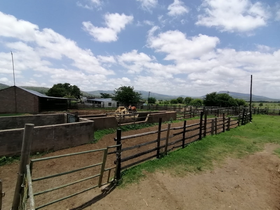 Commercial Property for Sale in Lydenburg Rural Mpumalanga