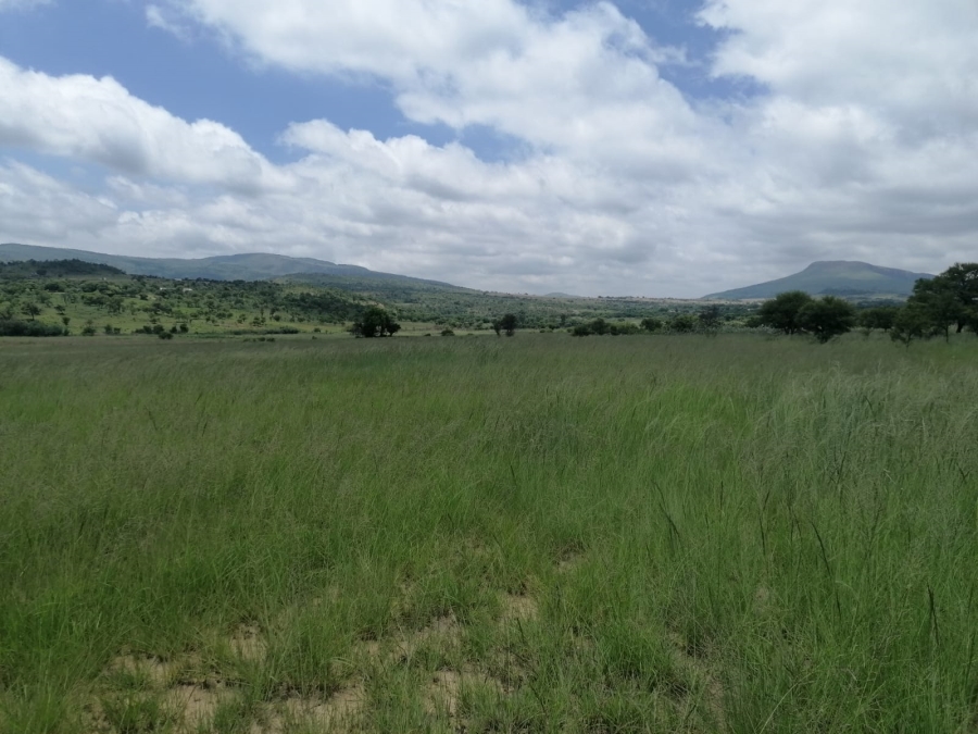 Commercial Property for Sale in Lydenburg Rural Mpumalanga