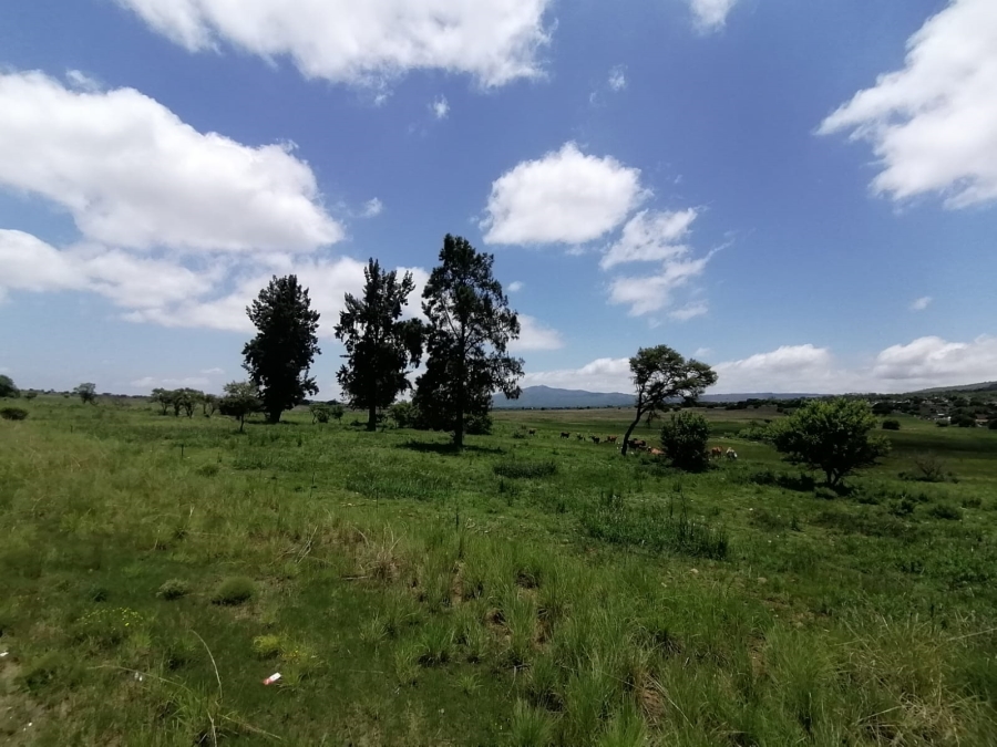 Commercial Property for Sale in Lydenburg Rural Mpumalanga