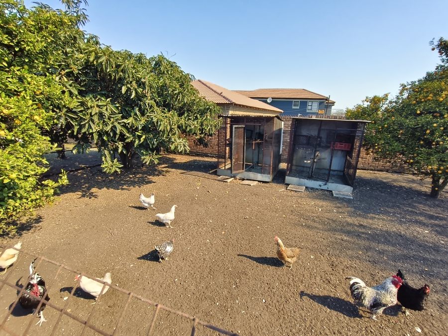 0 Bedroom Property for Sale in Leslie Mpumalanga