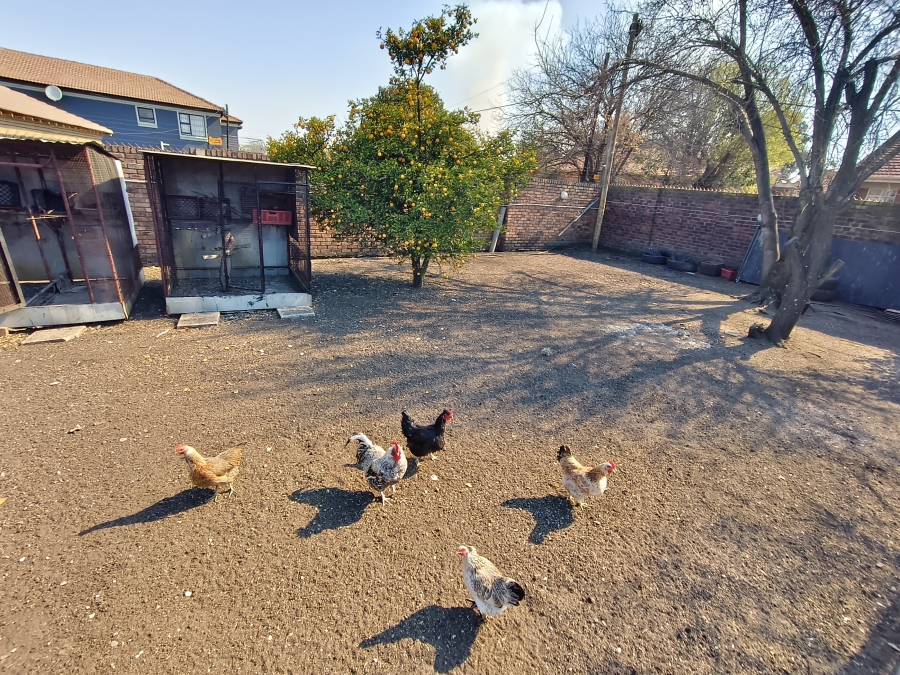 0 Bedroom Property for Sale in Leslie Mpumalanga