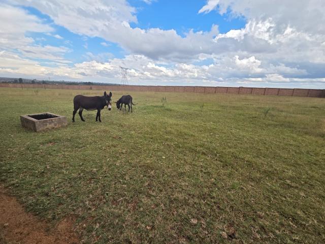 Commercial Property for Sale in Clewer Mpumalanga