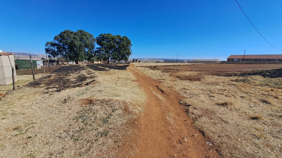 0 Bedroom Property for Sale in Balfour Mpumalanga