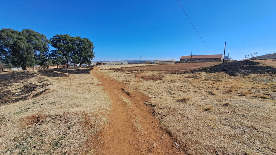 0 Bedroom Property for Sale in Balfour Mpumalanga