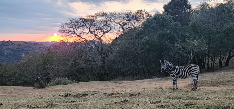 6 Bedroom Property for Sale in Nelspruit Rural Mpumalanga