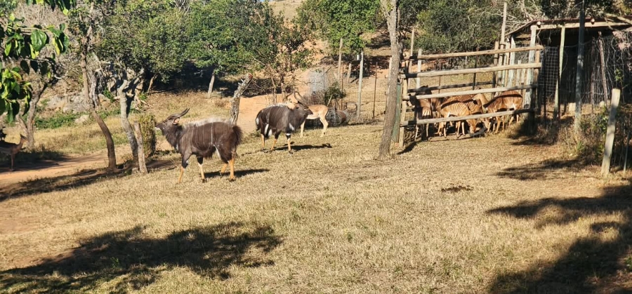 6 Bedroom Property for Sale in Nelspruit Rural Mpumalanga