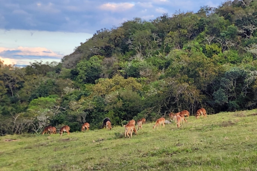 6 Bedroom Property for Sale in Nelspruit Rural Mpumalanga