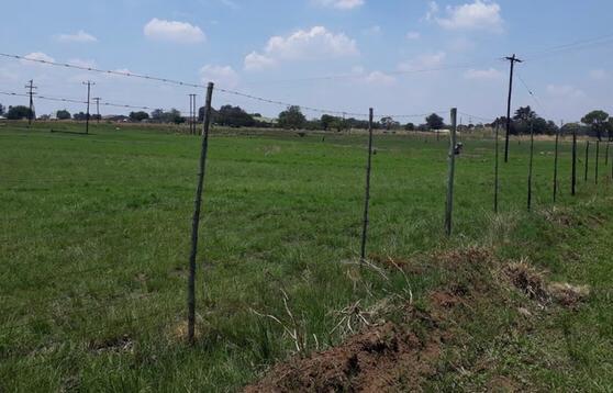 5 Bedroom Property for Sale in Delmas Mpumalanga