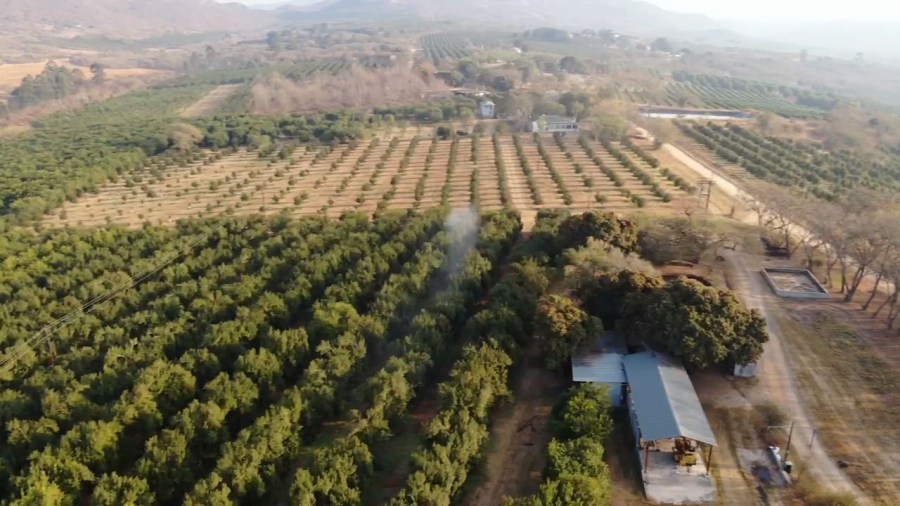 Commercial Property for Sale in Nelspruit Rural Mpumalanga