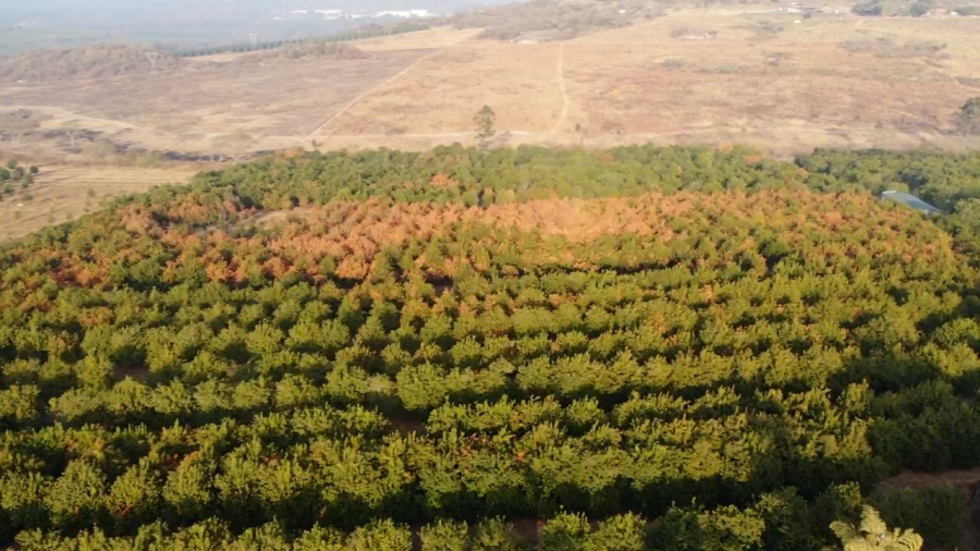 Commercial Property for Sale in Nelspruit Rural Mpumalanga