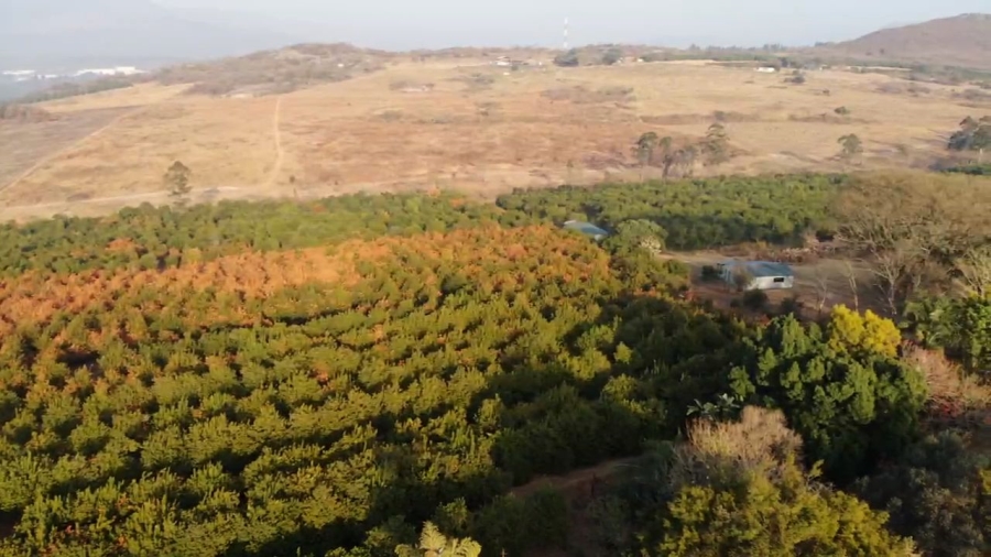 Commercial Property for Sale in Nelspruit Rural Mpumalanga