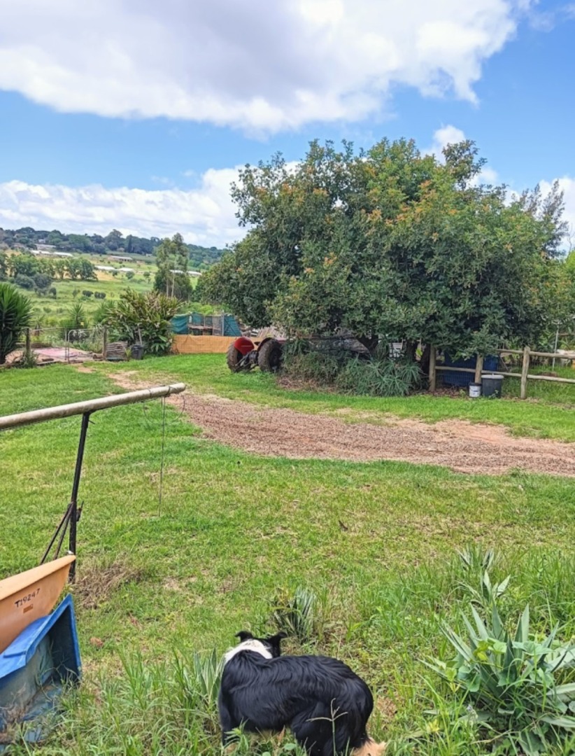 Commercial Property for Sale in Kingsview Mpumalanga