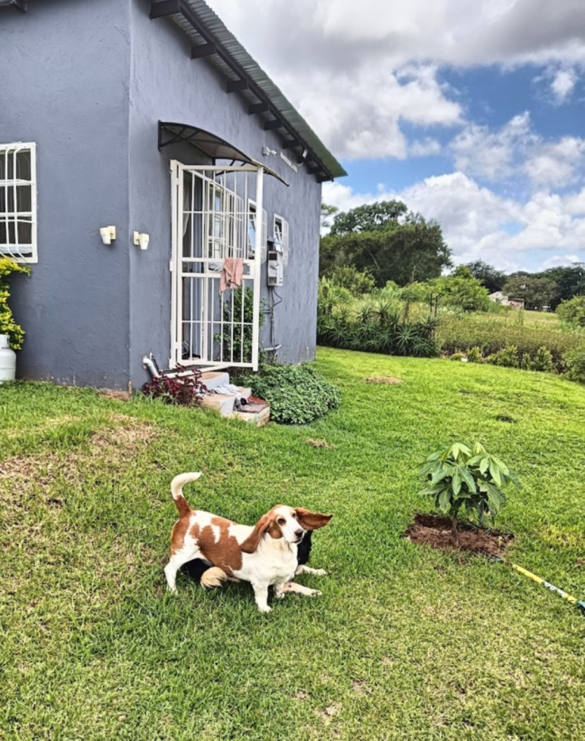 Commercial Property for Sale in Kingsview Mpumalanga