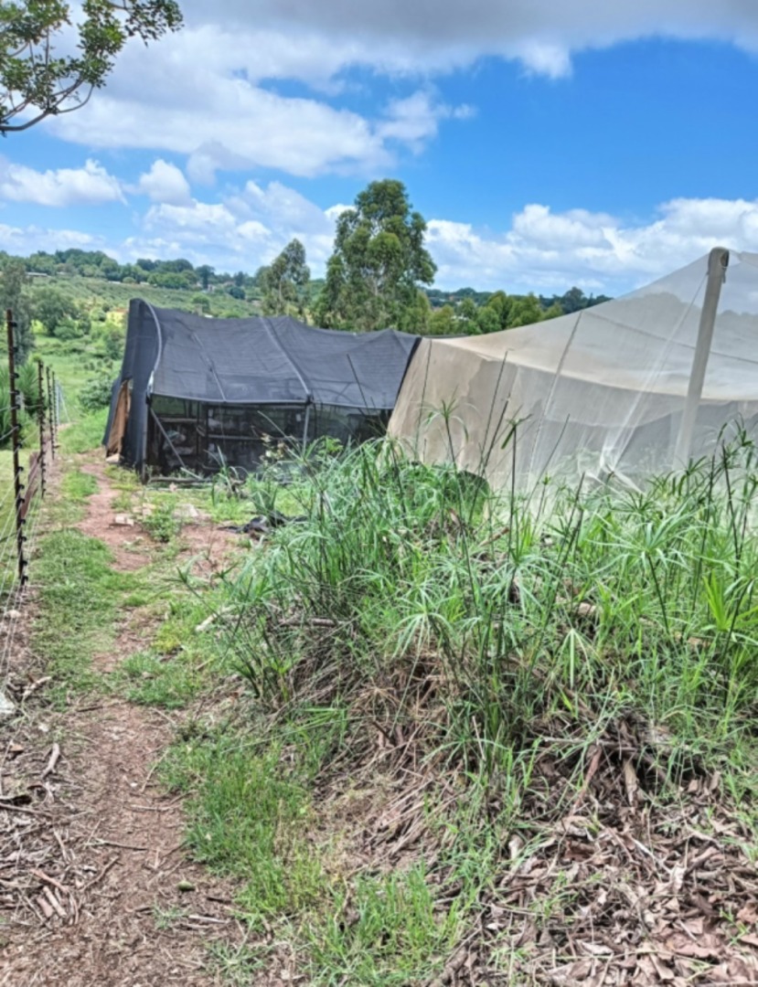 Commercial Property for Sale in Kingsview Mpumalanga