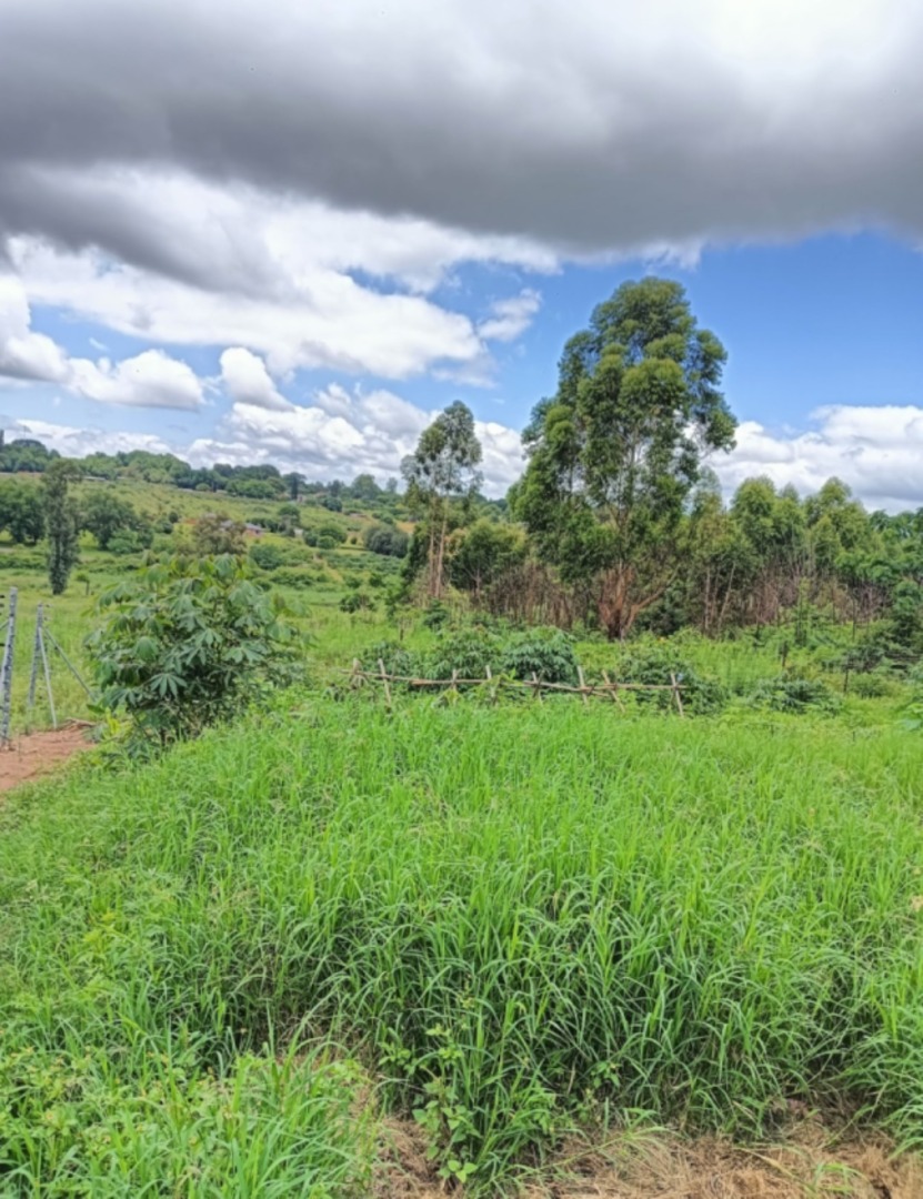 Commercial Property for Sale in Kingsview Mpumalanga
