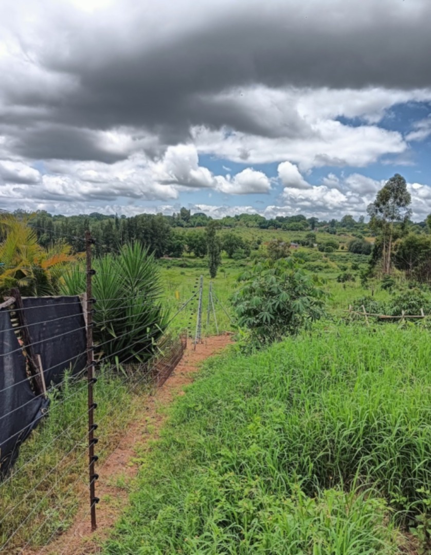Commercial Property for Sale in Kingsview Mpumalanga