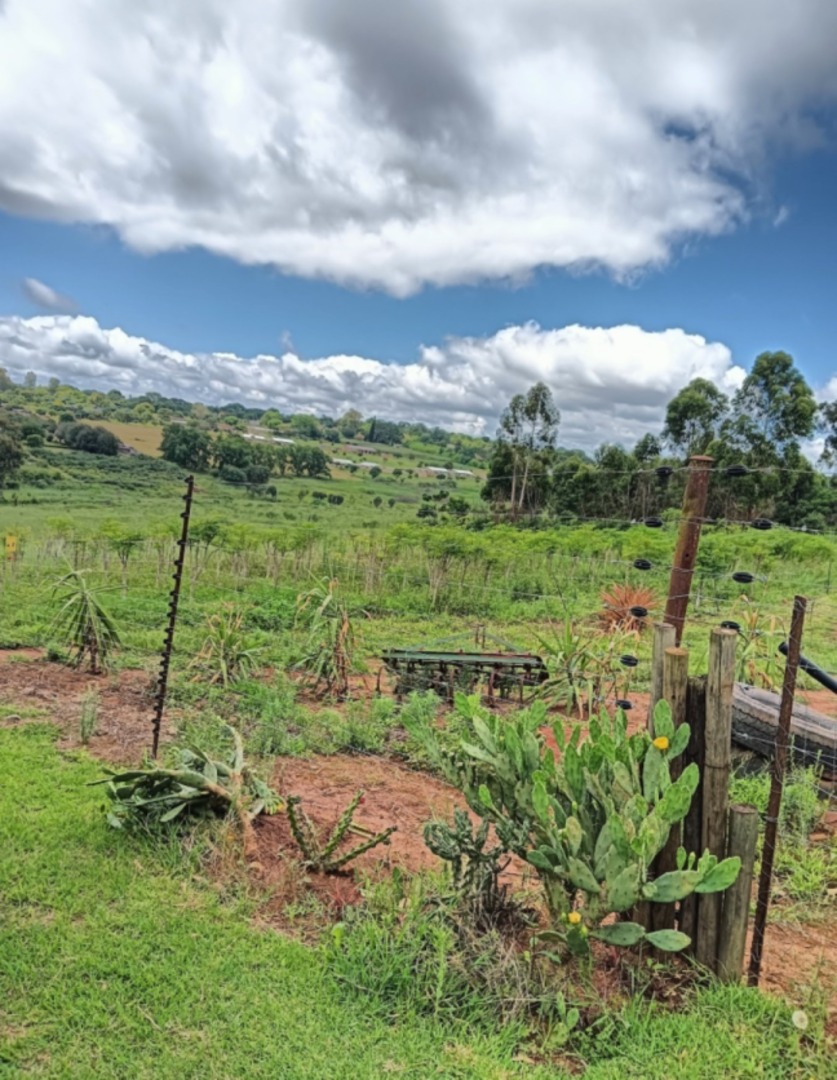 Commercial Property for Sale in Kingsview Mpumalanga