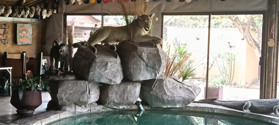 4 Bedroom Property for Sale in Reyno Ridge Mpumalanga