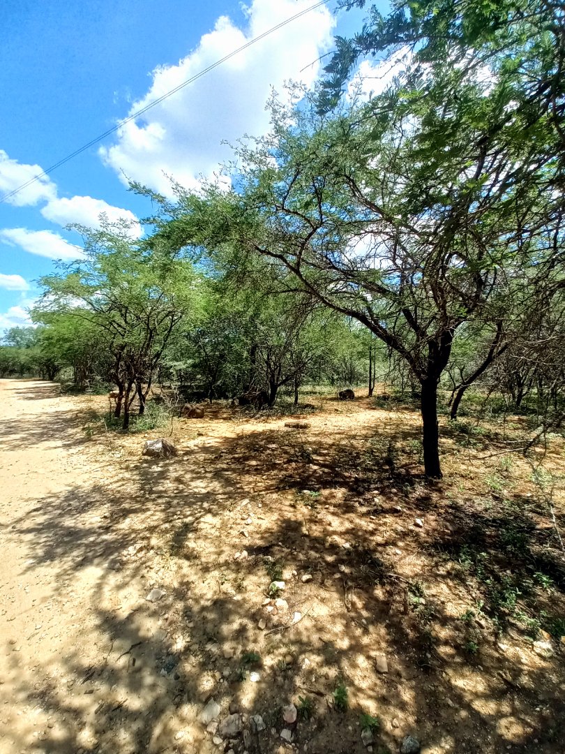 0 Bedroom Property for Sale in Greenstone Wildlife Estate Mpumalanga