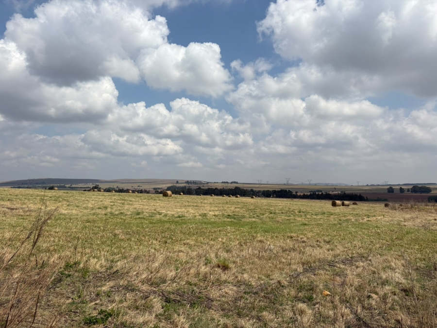 5 Bedroom Property for Sale in Balfour Mpumalanga