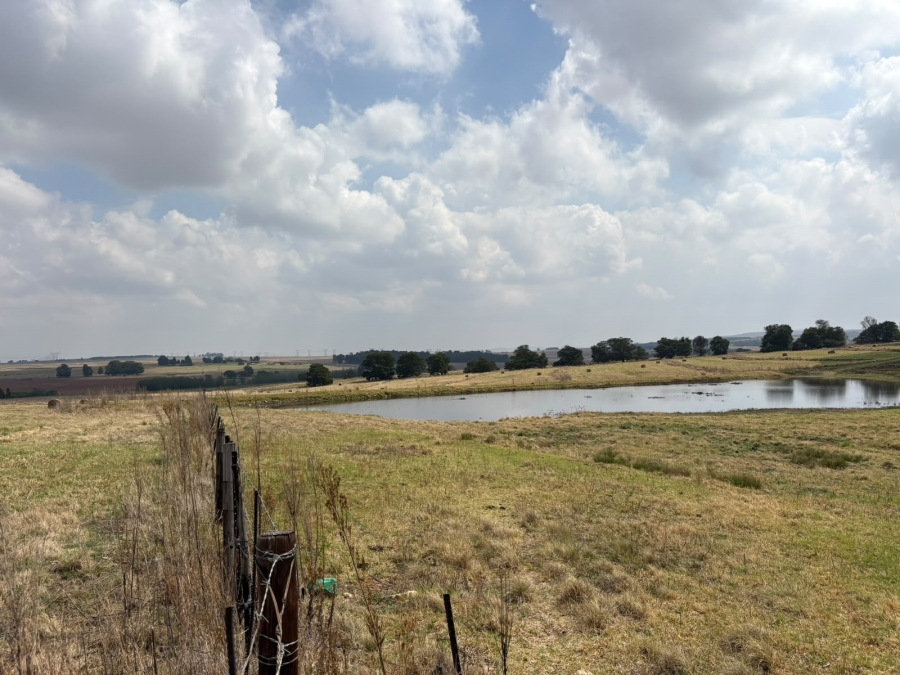 5 Bedroom Property for Sale in Balfour Mpumalanga