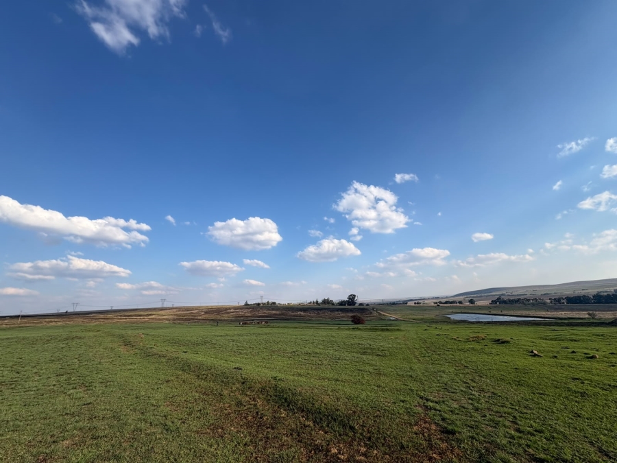 5 Bedroom Property for Sale in Balfour Mpumalanga