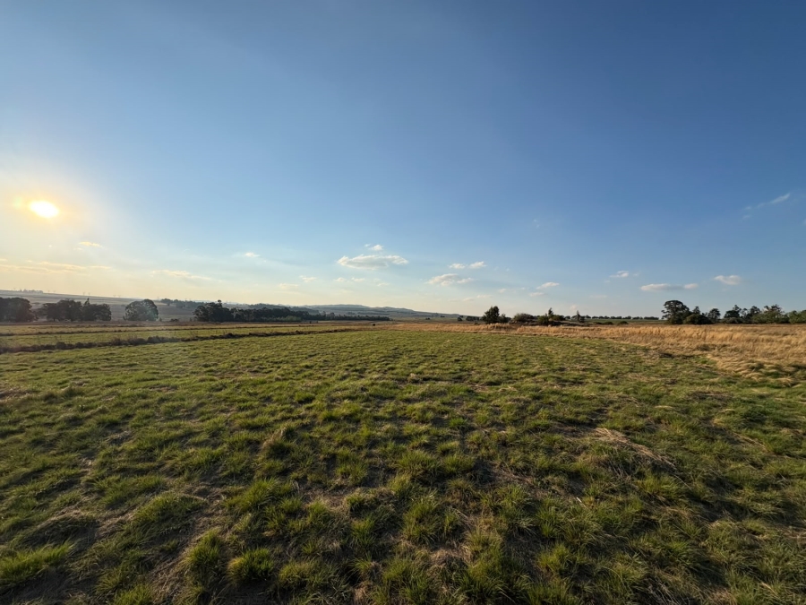 5 Bedroom Property for Sale in Balfour Mpumalanga