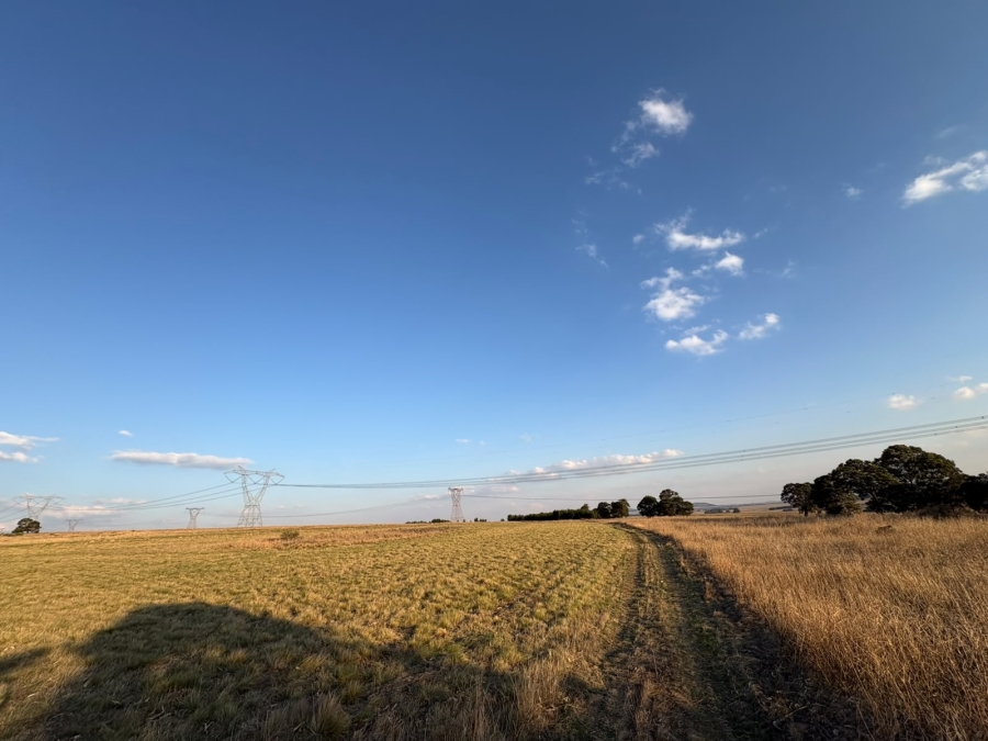 5 Bedroom Property for Sale in Balfour Mpumalanga